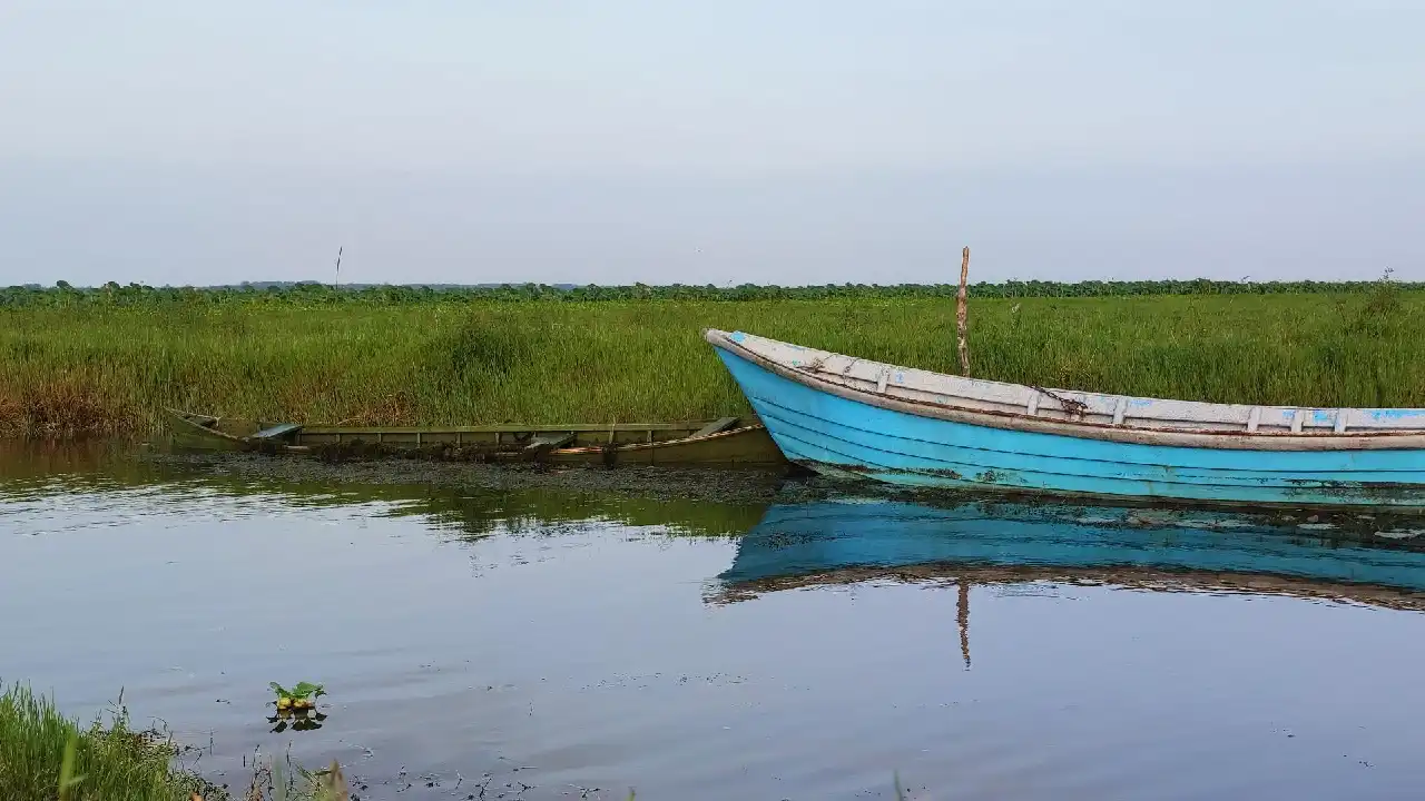 عکس تالاب انزلی