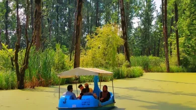 دریاچه سراوان رشت