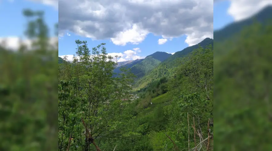 پوشش گیاهی روستای سرسبز فوشه