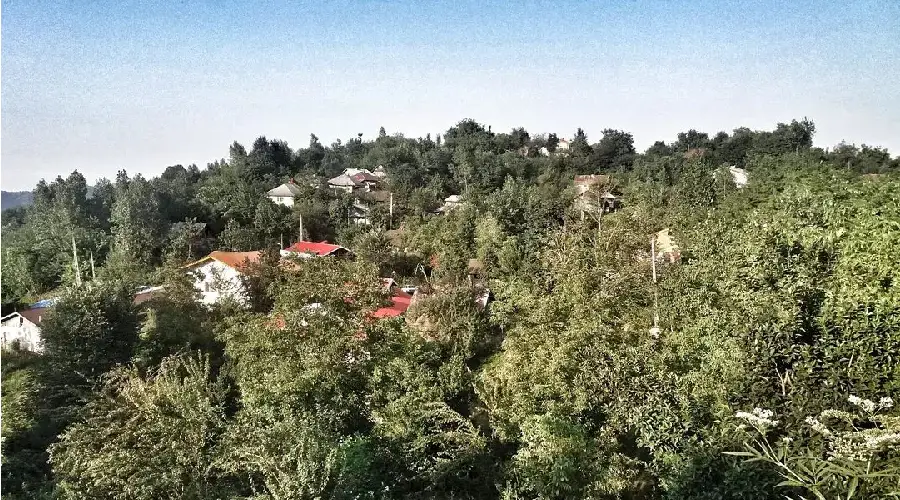 روستای چی چی نیکوتی
