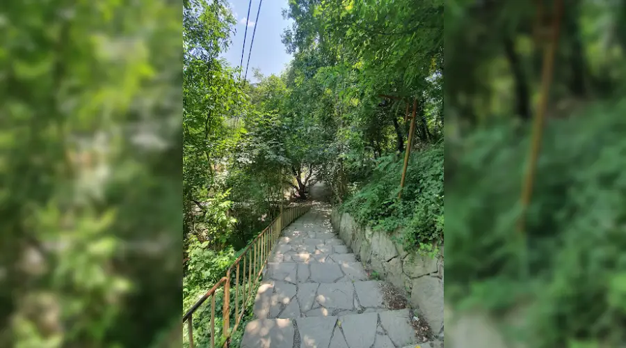 عکس پارک جنگلی ماسوله