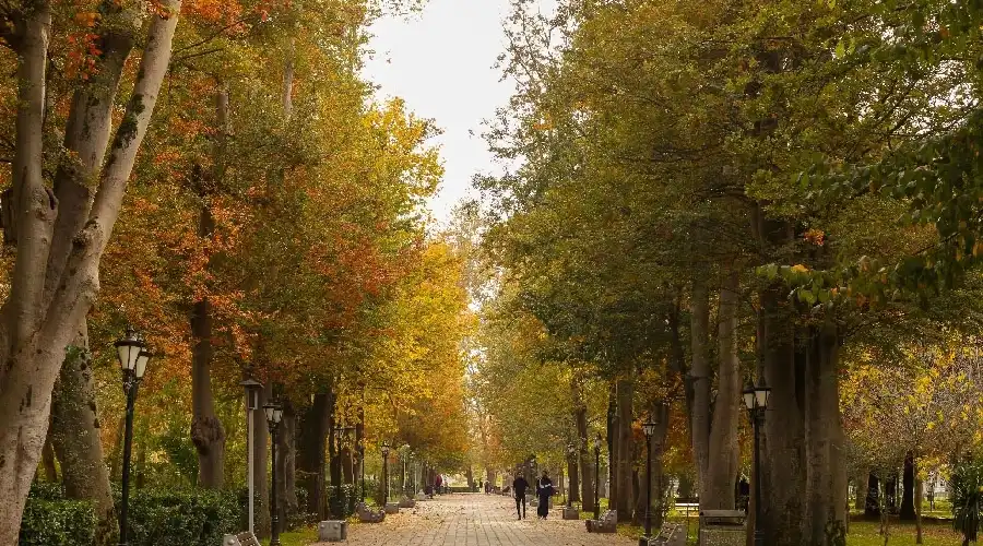 رشت زیبا