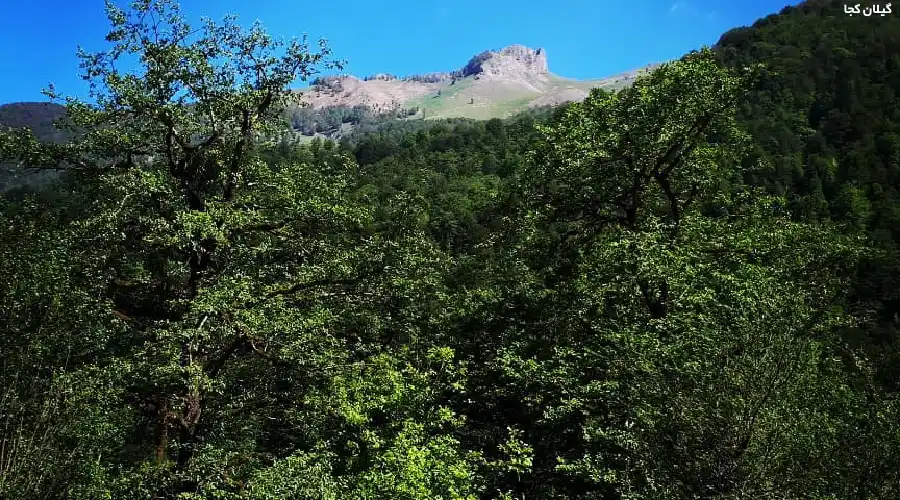 طبیعت زیبای گشت رودخان