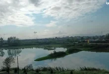 تالاب عینک رشت