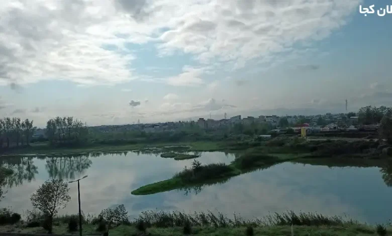 تالاب عینک رشت