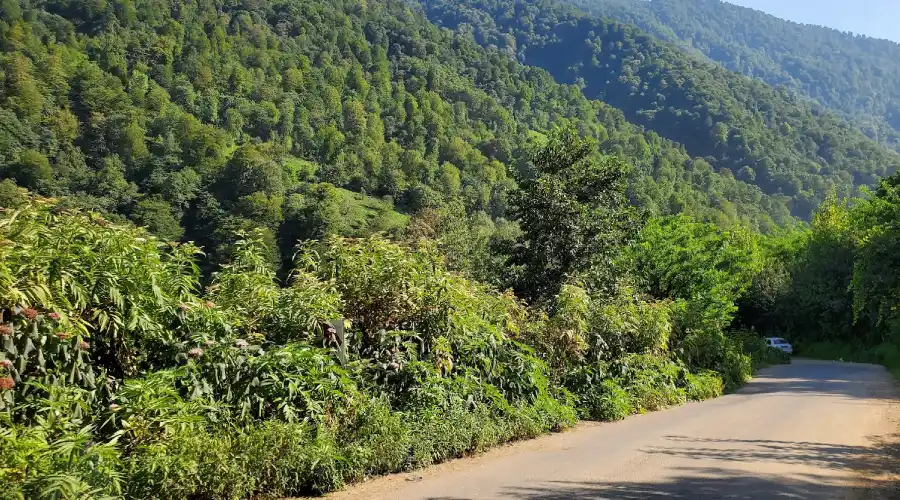 جاده آبشار دودوزن