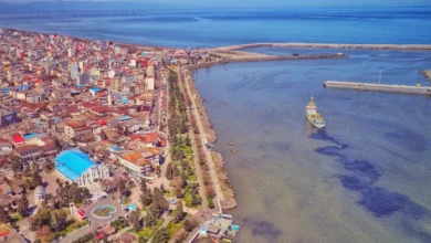 بلوار بندر انزلی کجاست