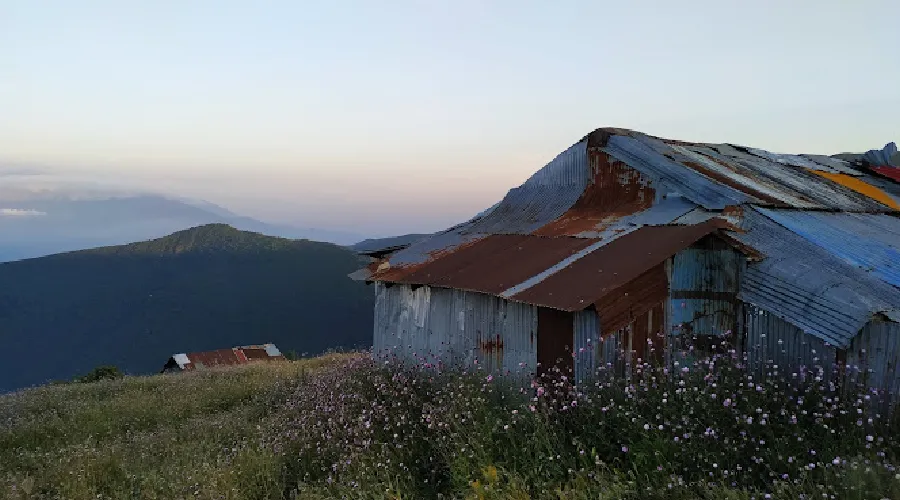 ییلاق سلانسر

