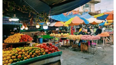 مراکز خرید رشت